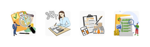 একাউন্টিং, ভ্যাট, ট্যাক্স অডিট