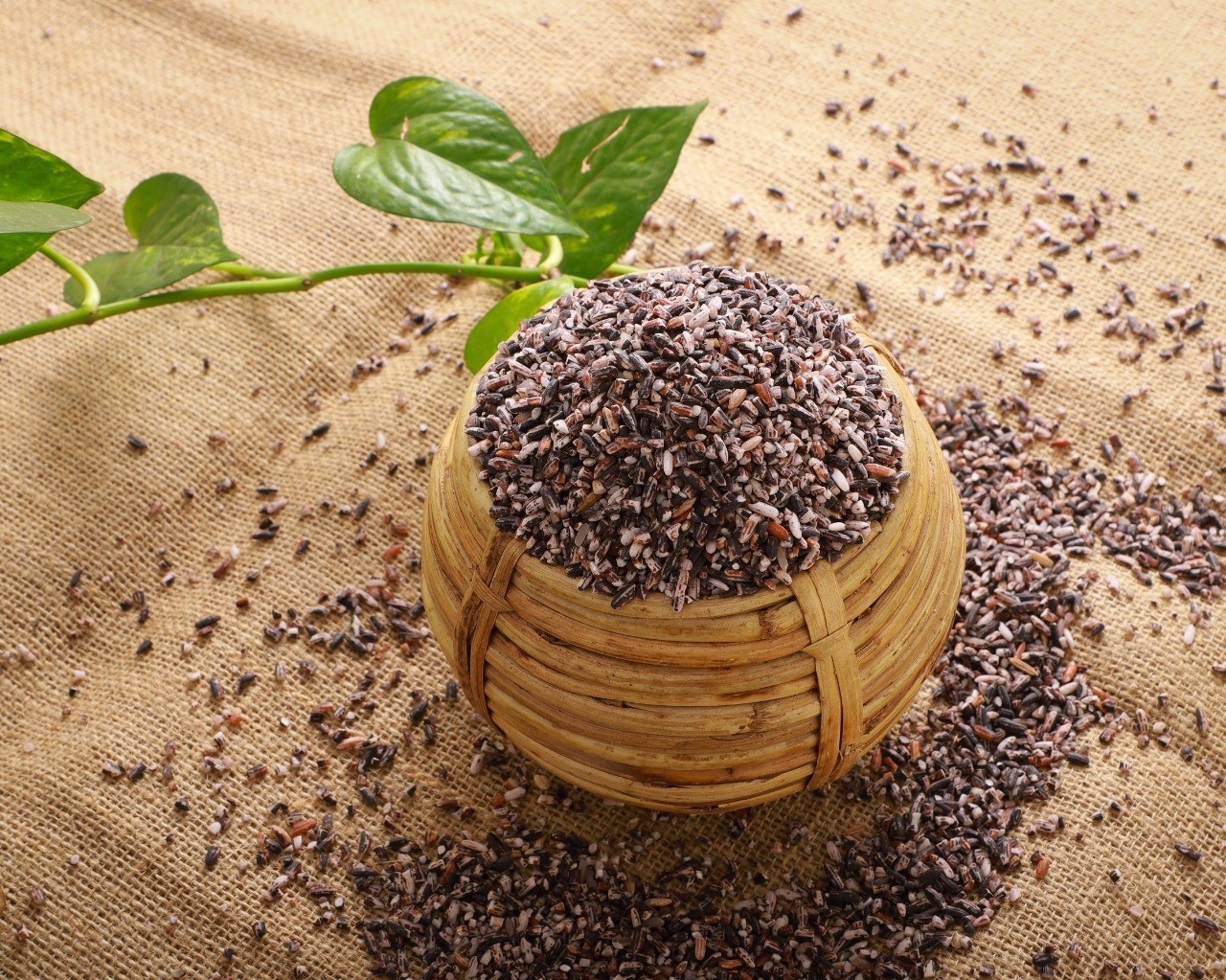 💢একনজরে: সংবাদ, অফার, তথ্য।